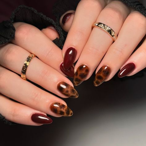 Nail Ideas Tortoise Shell, Tortoise Tip Almond Nails, Nails Fall Winter 2024, Maroon Tortoise Nails, Maroon And Tortoise Nails, Cherry Mocha Tortoise Nails, Tortoise Shell And Burgundy Nails, Tortoise Nails Almond, Brown Nails Ideas Almond