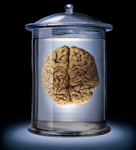 Your Extra-Somatic Brain- Tackle your to do list with a little help O5 Council, Brain In A Jar, Occupational Wellness, Brain Notes, Biology Videos, Fallout Character, History Of Psychology, Lee Harvey Oswald, Curtin University