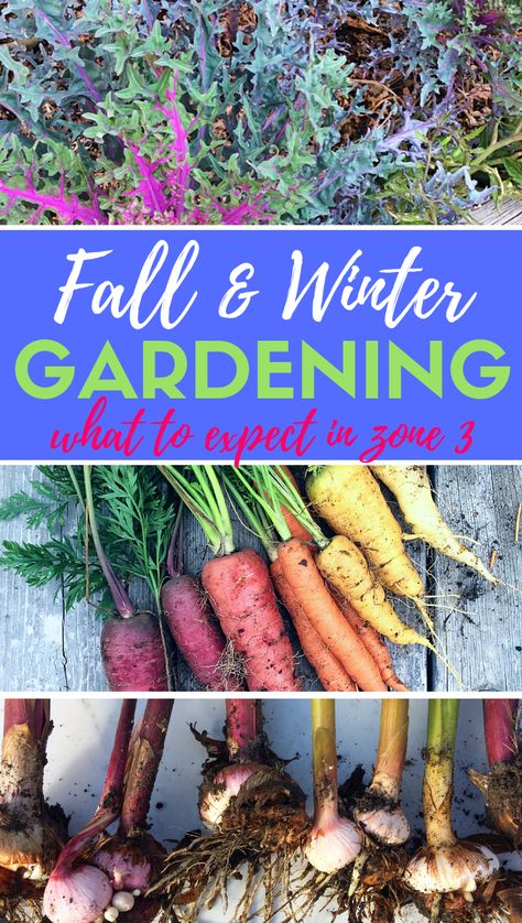 Fall and Winter Gardening in Zone 3: What you can Realistically Expect | Shifting Roots Gemüseanbau In Kübeln, Vegetable Garden Planner, Fall Gardening, Winter Gardening, Gardening Zones, Perennial Flowers, Seed Saving, Home Vegetable Garden, Wildflower Garden