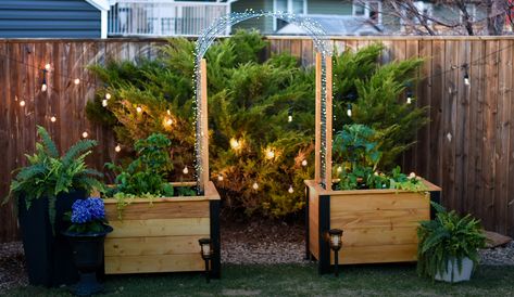 how-to with once upon a bungalow: DIY planters with blooming trellis archway - The Plant Project Building Planter Boxes, Garden Archway, Arch Trellis, Corner Garden, Diy Planter Box, Plant Projects, Plant Tags, Terrarium Diy, Beginner Woodworking Projects