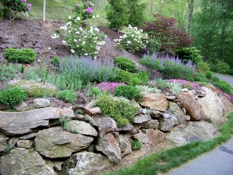 Rock Wall Garden, Steep Hillside Landscaping, Gardening On A Slope, Rock Wall Gardens, Lake Landscaping, Hill Landscaping, Landscaping On A Hill, Sloped Yard, Billy Goat