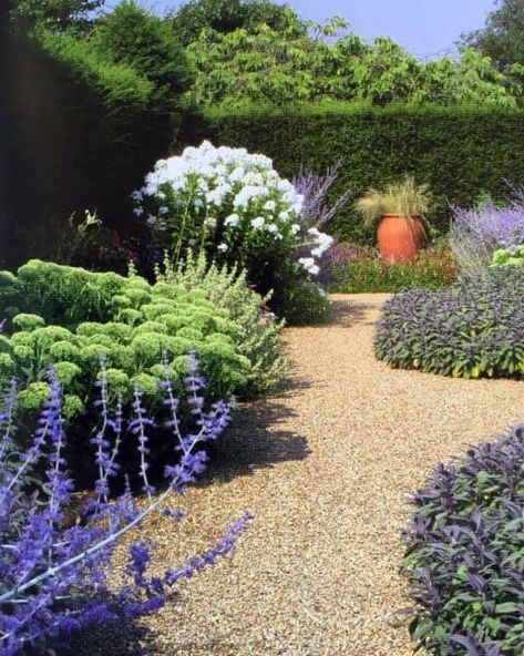 Gravel Walkway Ideas, Landscape Gravel, Garden Walkways, Gravel Walkway, Driveway Ideas, Gravel Landscaping, Court Yard, Walkway Landscaping, Walkway Design