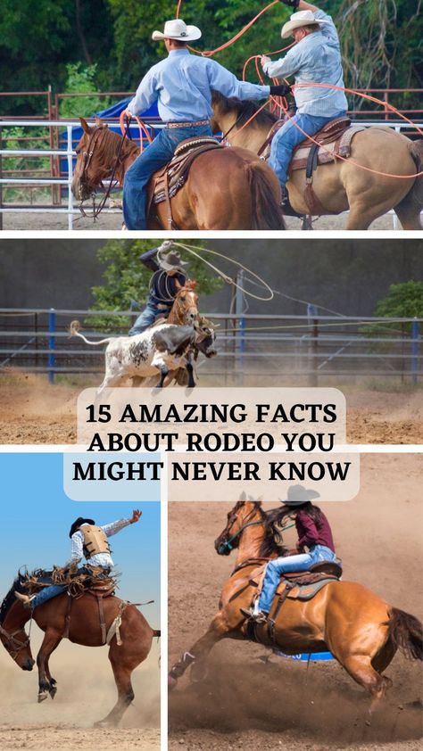 it’s a fun and competitive sporting event that’s ingrained in their culture. Therefore, to know more about this sport, we will reveal some interesting facts about rodeo you probably didn’t know. #awesomefacts #awesomefactsunbelievable #awesomefactsmindblowing #awesomefactsforkids #doyouknowfactsawesome #unbelievablefactsmindblowingawesome Rodeo Pictures, Pbr Bull Riders, Miss Rodeo America, Saddle Bronc Riding, Cheyenne Frontier Days, Action Board, Bareback Riding, Saddle Bronc, Dangerous Sports