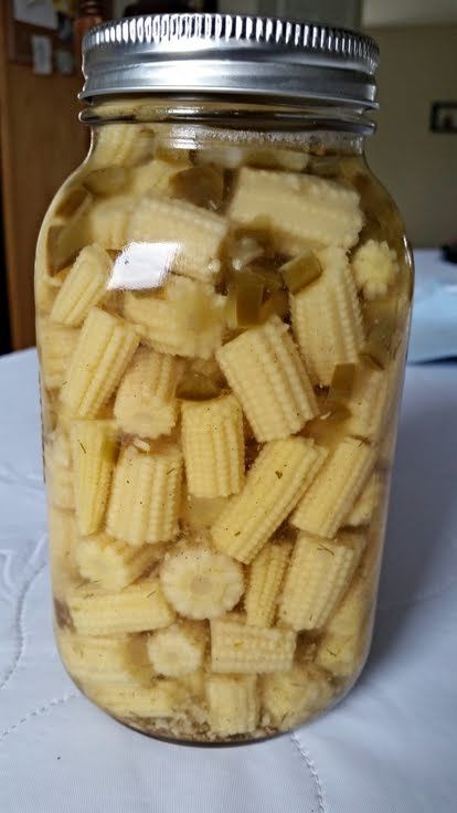 Pickled Baby Corn! "Excellent flavor and crunch, a keeper for sure." @allthecooks #recipe Pickled Baby Corn Recipe, Baby Corn Recipe, Pickles Recipes, Pickled Corn, Pickled Recipes, Easy Canning, Baby Corn, Canning Tips, Corn Recipe