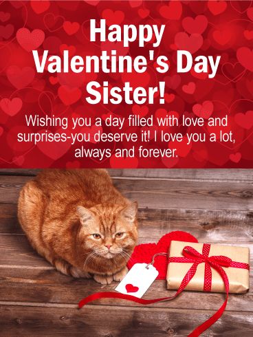 Cute Cat Happy Valentine's Day Card for Sister: Sending Valentine's Day greeting cards to our sisters is probably more fun than anything else! They understand us, they understand love, they understand warm fuzzy messages and adorable cats, so basically-they deserve to get so many Valentine's Day cards their inbox overflows! Or, just send this one, perfect, and pretty Valentine's day greeting card to your sweet sis today. She's sure to love it (but not as much as she loves you). Valentines Greetings For Friends, Happy Valentines Day Quotes Friends, Happy Birthday Quotes For Sister, Valentines Day Sister, Birthday Message For Sister, Happy Valentines Day Sister, Funny Happy Birthday Quotes, Birthday Quotes For Sister, Birthday Messages For Sister