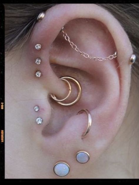 Daith Piercing Combos, Ear Curation Themes, Daith Industrial Piercing, Industrial Piercing Jewelry Elegant, Daith Piercings Ideas, Double Daith Piercing, Industrial And Daith Piercing, Unique Industrial Piercing, Different Ear Piercings Ideas