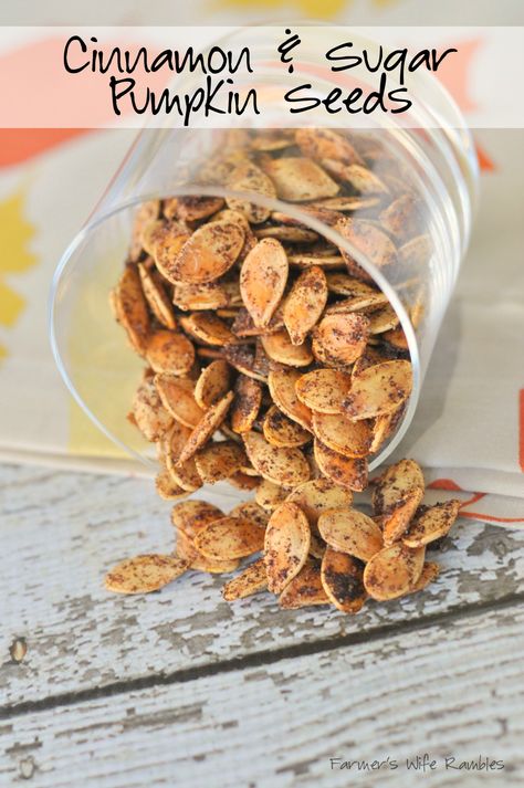 Cinnamon & Sugar Roasted Pumpkin Seeds Pumpkin Seeds Recipe, Heart Healthy Snacks, Pumpkin Seed Recipes, Toasted Pumpkin Seeds, Roasted Pumpkin, Roasted Pumpkin Seeds, Sugar Pumpkin, Roast Pumpkin, Oreo Dessert