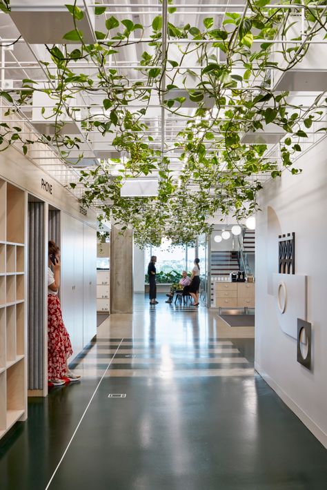 Office Ceiling, Green Office, Australian Interior Design, Interior Design Awards, Office Plants, Office Snapshots, Workplace Design, Installation Design, Architecture Office