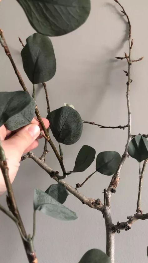 How to make a DIY Faux Eucalyptus Tree | Hometalk Faux Eucalyptus Tree, Faux Olive Trees, Easter Topiary, Diy Eucalyptus, Moss Wreath Diy, Rainbow Eucalyptus Tree, Diy Magazine Holder, Faux Trees, Rainbow Eucalyptus