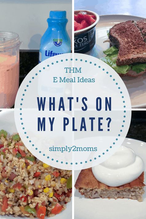 What's On My Plate - A Day of E Meals Thm E Meals, E Meals, Thm E, Trim Healthy Momma, My Plate, Low Glycemic, Trim Healthy Mama, Trim Healthy, What To Eat