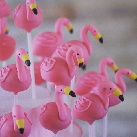 Flamingo fun! Flamingo cake pops #creativecakepops #cakepop #cakepops… Pink Flamingo Party, Flamingo Cake, Flamingo Birthday Party, Flamingo Theme, Fiesta Tropical, Suga Suga, Flamingo Birthday, Cookie Pops, Flamingo Party