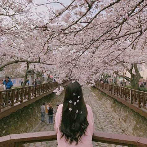 cherry blossoms Cherry Blossom Pictures, Cherry Blossom Girl, Old Dress, Trendy Flowers, Tumblr Photography, Korean Aesthetic, Trik Fotografi, Jolie Photo, 인물 사진