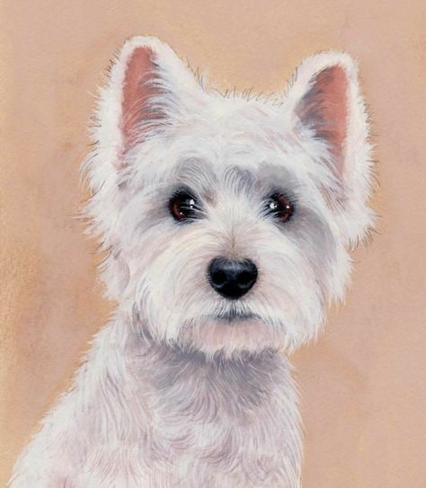 Painting Clipart, Dogs Watercolor, Watercolor Painting Easy, West Terrier, Watercolor Dogs, Dog Watercolor Painting, Watercolor Dog Portrait, Dog Portraits Art, Dog German