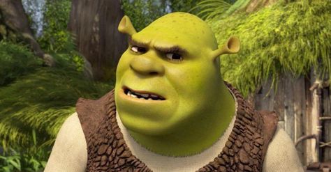 shrek 5 will be reinvention Confused Pictures, Confused Meme, Confused Face, Response Memes, Nba Memes, Clean Memes, Reaction Face, Funny Reaction Pictures, Meme Faces