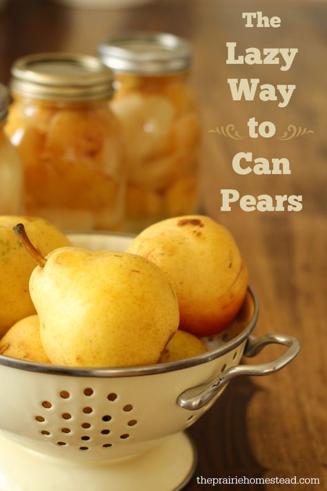 how to can pears without sugar How To Can Pears, Can Pears, Canning Tutorial, Pear Recipe, Canning Pears, The Prairie Homestead, Prairie Homestead, Canned Pears, Canning Fruit