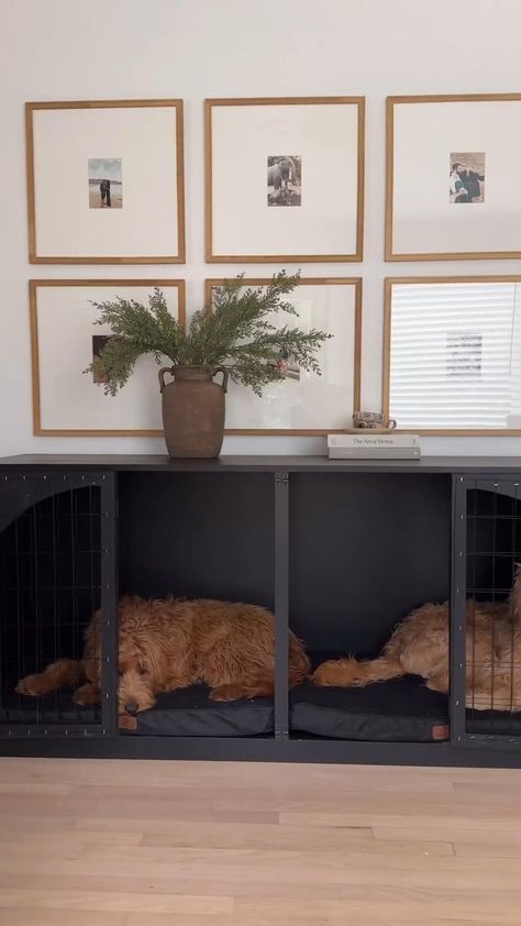 Dog Bed Organization, Dog Kennel Furniture Decor, Dog Kennel In Bedroom Ideas, Incorporating Dog Beds In Living Room, Dog Crate Behind Couch, Guest Bedroom Dog Room, Built Ins With Dog Crate, Building Dog Crate Furniture, Dog Bed Area Living Room