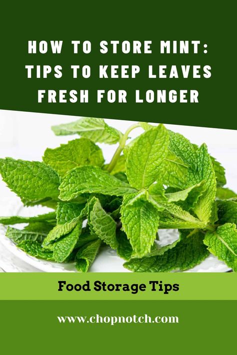 Mint is a delicious herb and there are plenty of ways to use it. But Do You Know How To Store Mint? Here Are The Best Tips To Keep Leaves Fresh For Longer! #Mint #MintStorage #FoodStorage #HerbsStorage How To Store Mint Leaves In Fridge, Fast Easy Desserts, Quick Weeknight Dinners, Recipe Board, How To Store, Recipe Boards, Quick Desserts, Cook At Home, Kitchen Tips