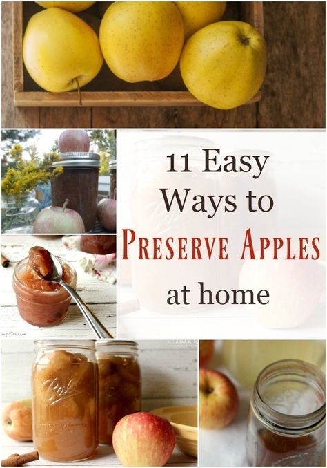 Don’t stress about your apples going bad when they start falling from the tree. Here you will find 11 ideas on what to do with a bountiful apple harvest. Ideas all include instructions and recipes too! #apples #harvest #applerecipes Preserve Apples, Preserving Apples, Melissa K Norris, Canned Applesauce, Canning Apples, Preserving Recipes, Freezing Apples, Canning Fruit, Canned Foods