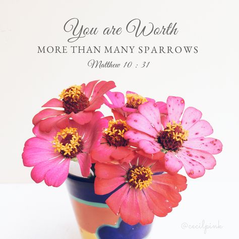 You are worth more than many sparrows. -Matthew 10 : 31 Worth More Than Many Sparrows, Matthew 10 31, Whatsoever Things Are True, Praise Jesus, Psalm 100, Matthew 10, God's Promises, Verses Wallpaper, Gospel Of Jesus Christ