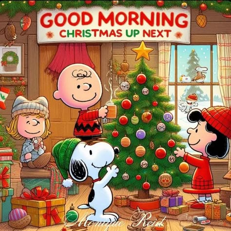 Grandma Texts, Snoopy Merry Christmas, Christmas Cartoon Pictures, Happy Holidays Images, Beautiful Christmas Pictures, Charly Brown, Woodstock Christmas, Peanuts Quotes, Good Morning Animals