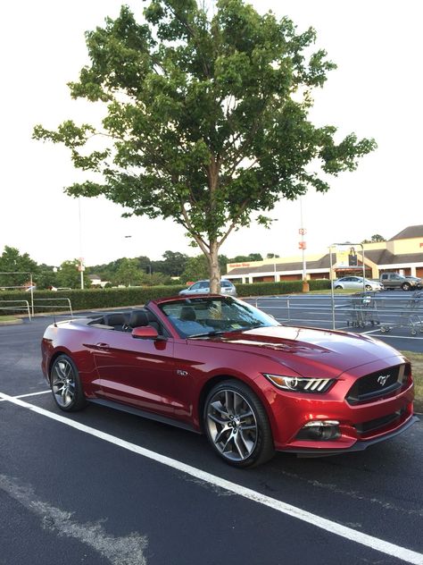 Red Convertible Mustang, Red Convertible Car, Fort Mustang, G37 Convertible, Mustang Red, Mustang Gt Convertible, Terry Thomas, 2015 Mustang Gt, Red Convertible