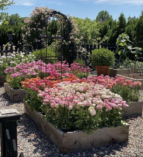 Tulip Flower Bed, Manifest Board, Garden Answer, Cut Flower Farm, Diy Raised Garden, Garden Plans, Cut Flower Garden, Veg Garden, Outdoor Flowers