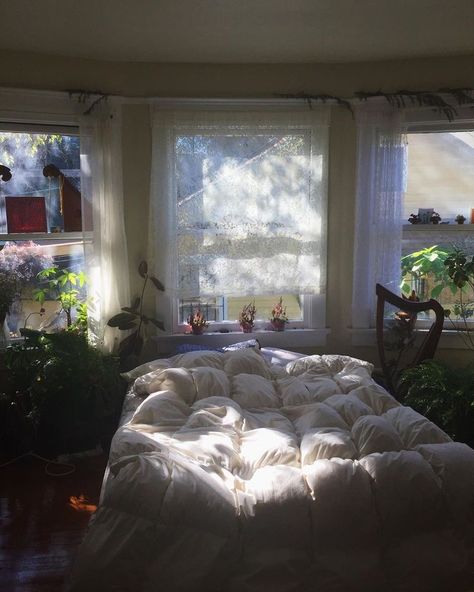 pinterest — 𝑜𝒽𝓃𝑜𝒸𝒶𝓇𝑜𝓁𝒾𝓃𝑒 Decor Plants, Aesthetic Rooms, Dreamy Room, Decoration Inspiration, House Room, Cozy Room, Room Inspiration Bedroom, Room Ideas Bedroom, Aesthetic Bedroom