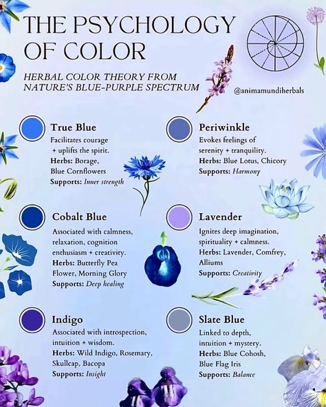 Psychology of color healing spiritual Blue Blue Color Psychology, Color Physcology, Blue Symbolism, Types Of Blue Colour, Witchcraft Ideas, Healing Colors, Magickal Correspondences, Spiritual Wellbeing, Psychology Of Color