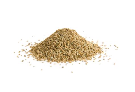 Wondering about the health benefits of celery seeds? Our experts weigh in. Benefits Of Celery, Help With Inflammation, Celery Plant, Plant Herbs, Pampered Chef Stoneware, Celery Salt, Turmeric Recipes, Pollen Allergies, Herbs Spices