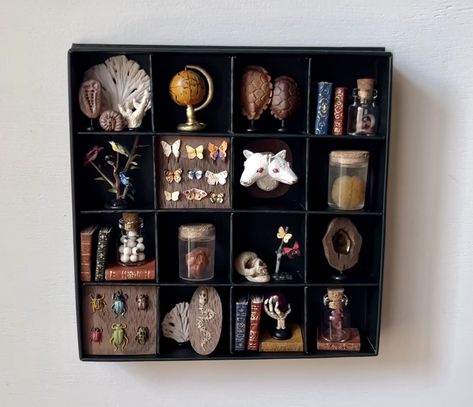 Diy Curio Cabinet, Curiosities Cabinet, New Witches, Assemblage Art Mixed Media, Oddities Collection, Mini Cabinet, Cabinet Of Curiosity, Mini Diy, Crystal Shelves