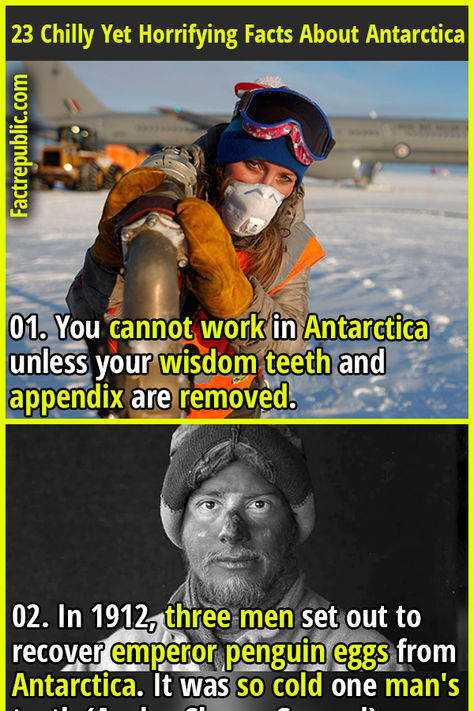 01. You cannot work in Antarctica unless your wisdom teeth and appendix are removed. #antarctica #country #travel #living #world #adventure #science #knowledge #education #weather #climate Crazy History Facts, Unknown Facts About World, Weird Historical Facts, Crazy Facts Mind Blowing, Survival Facts, Random Facts Interesting, Weird Science Facts, Random Useless Facts, Random Fun Facts