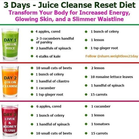 Health Juice Recipes, Slim Fast Diet Plan, Reduce Cravings, Easy Healthy Smoothie Recipes, Reset Diet, Healthy Diet Smoothies, Healthy Juicer Recipes, Healthy Juice Drinks, Best Smoothie