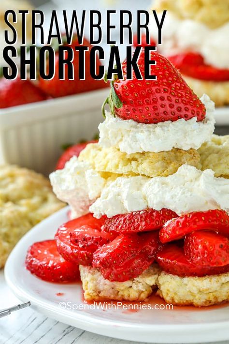 Homemade Strawberry Shortcake is a simple, luscious and easy to make dessert! It begins with a small sponge cake or biscuit, that is topped with sweet sliced strawberries and finished with whipped cream! This delicate dessert is the perfect ending to a barbecue or picnic! #spendwithpennies #strawberryshortcake #homemadeshortcake #shortcakerecipe #strawberryshortcakerecipe #beststrawberryshortcake #homemadeshortcake #fromscratchrecipe Buttermilk Drop Biscuits, Easy Strawberry Shortcake, Strawberry Shortcakes, Bread Puddings, The Slow Roasted Italian, Cake Mug, Strawberry Shortcake Recipes, Shortcake Recipe, Drop Biscuits