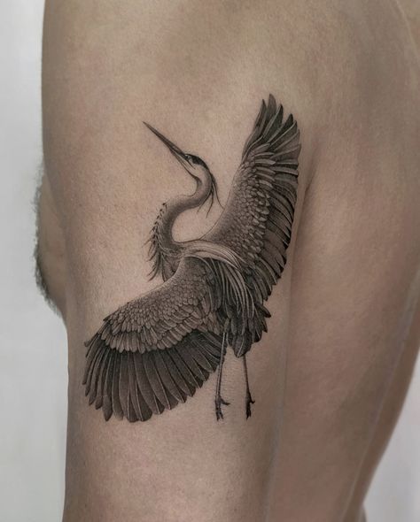 Subject To Change Tattoo, Anhinga Tattoo, Grey Heron Tattoo, Realistic Bird Tattoo, Scientific Tattoo, Pelican Tattoo, Bird Tattoo Sleeves, Heron Tattoo, Crane Tattoo