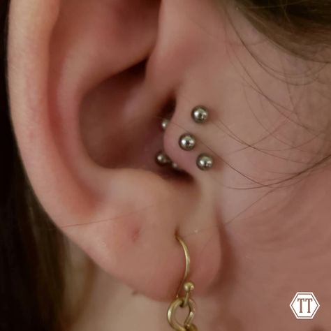 Triple Tragus 💛 Follow & DM @liljpierce315 for more info! ⁠ •⁠ •⁠ •⁠ •⁠ #piercing #tragus #piercings #traguspiercing #ear #earpiercing #yellowgold #gold #finejewelry #earrings #swarovski #cute #syracuse #bville #newyork Triple Tragus Piercing, Outer Tragus Piercing, Anti Tragus Piercing Hoop, Tragus And Anti Tragus Piercing, Tragus Piercing Earrings Butterfly, Opal Tragus Piercing, Piercing Tragus, Tragus Piercing, Pierced Jewelry