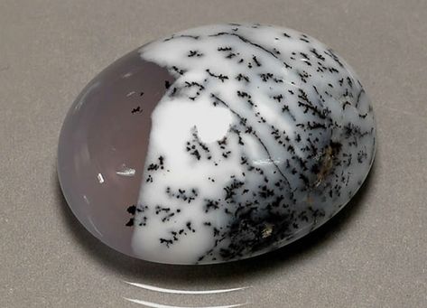 Dendritic Opal Meaning, Dendritic Agate Meaning, Raven Hair, Opal Meaning, Agate Meaning, Agate Rocks, Healing Gemstones, Rock Types, Tree Agate