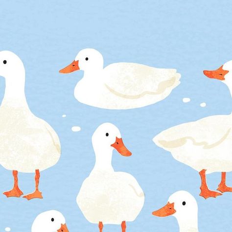 Duckling Illustration Cute, Cute Duck Illustration, Ducks Illustration, Duck Paintings, Notion Pictures, Simple Animals, Duck Illustration, Duck Drawing, Spring Illustration