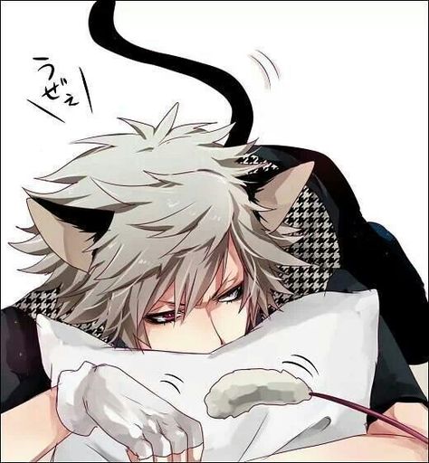 Anime Guy with cat ears and tail. it looks like ran from uta pri Cat Ears And Tail, Anime Cat Boy, Neko Boy, Boy Cat, Neko Cat, Anime Guys Shirtless, Cat Boys, Anime Animals, Anime People