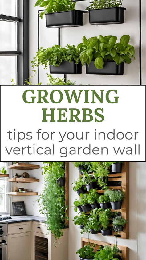 Growing Herbs - Tips for Your Indoor Vertical Garden Wall. Images of vertical herb gardens. Indoor Herb Garden Wall Kitchens, Winter Herbs Indoor, Fresh Herb Wall Kitchen, Kitchen With Herb Garden, Dining Room Herb Garden, Vertical Garden Wall Indoor Kitchen Herbs, Hydroponic Wall Indoor, Indoor Herb Garden Ideas Diy, Indoor Herbal Garden Ideas