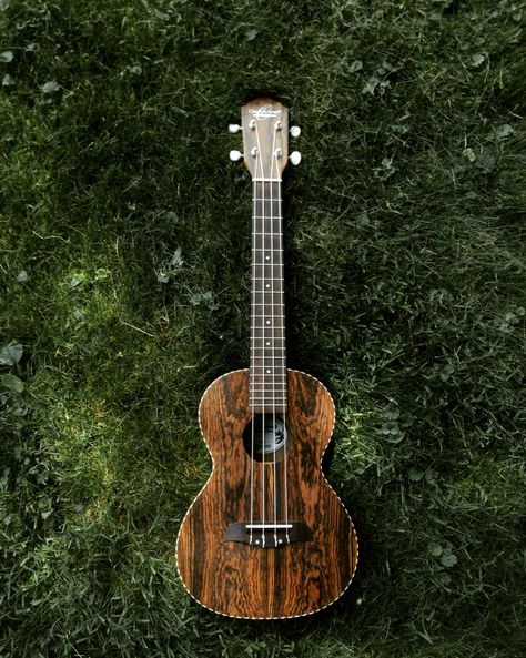 Tenor Ukulele, Airbrush Art, Beautiful Lights, Schmidt, Ukulele, Musical Instruments, My Love, Music Instruments, Musical