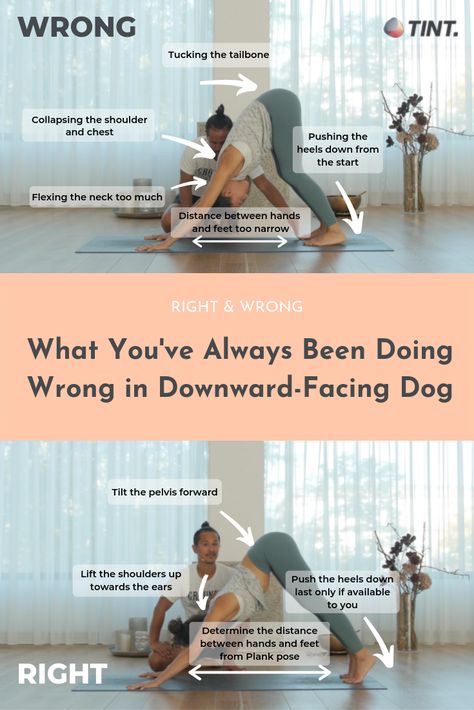 Downward Dog Yoga, Yoga Alignment, Yoga Kurse, Yoga Tutorial, Downward Facing Dog, Dog Yoga, Partner Yoga, Yoga Positions, Poses For Beginners