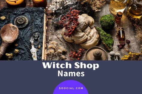 Craft Names, Names For Plants, Shop Name Ideas, Plant Crafts, Witch Shop, Witch Craft, Shop Name, Name Ideas, Shopping Sites