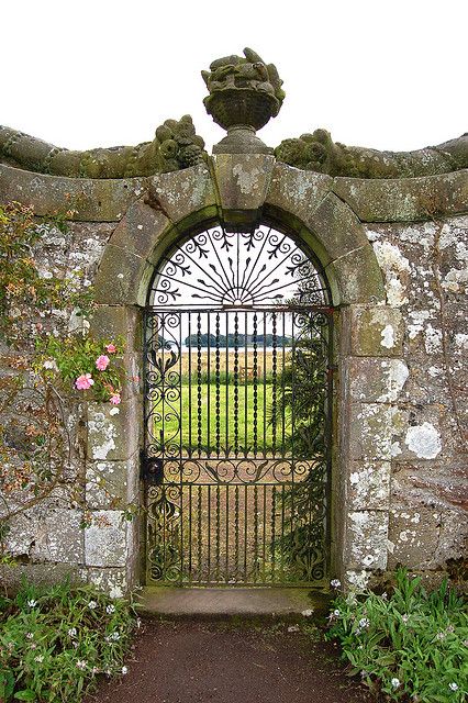 Garden gate... Moroccan Courtyard, Flowers Growing, Modern Garden Design, Wrought Iron Gates, The Secret Garden, Door Gate, Iron Gates, Fence Gate, Garden Gate