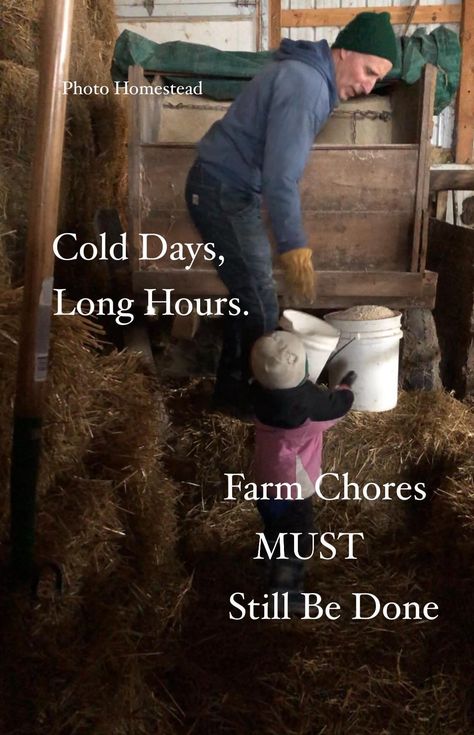 Farm Chores, Long Hours, Hot Days, Country Life, Farm Life, Cold Day, Quick Saves