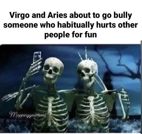 Aries And Virgo, Aries Virgo, Virgo And Aries, I Forgot, Zodiac Facts, So True, Apothecary, Love Art, Zodiac Signs