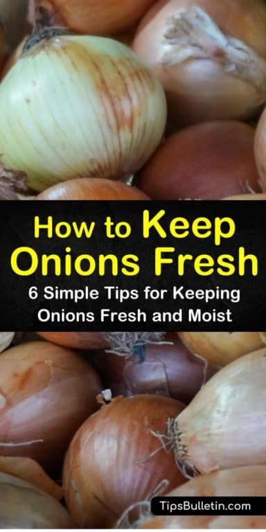 How To Hang Onions For Storage, How To Store Green Onions In Fridge, Best Way To Store Onions, Freeze Onions How To, How To Store Onions, Freezing Onions How To, How To Harvest Onions How To Store, Curing Onions For Storage, Harvesting And Storing Onions