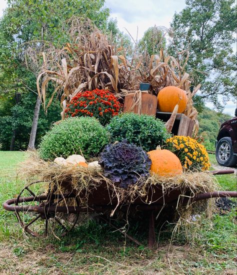 Subdivision Entrance Fall Decor, Thanksgiving Tea Party, Subdivision Entrance, Entryway Landscaping, Thanksgiving Tea, Outdoor Fall Decor, Fall Outdoor Decor, Entrance Decor, Driveway