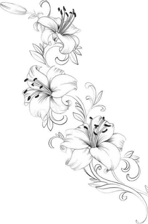 Lily Side Tattoos Women, Star Gazing Lily Tattoo, Azealia Flower Tattoo, Lilly Flower Tattoo Sleeve, Lilly And Butterfly Tattoo Ideas, Pink Lily Flower Tattoo, Lilly Shoulder Tattoos For Women, Fine Line Lilly Tattoo, Lillys Drawing