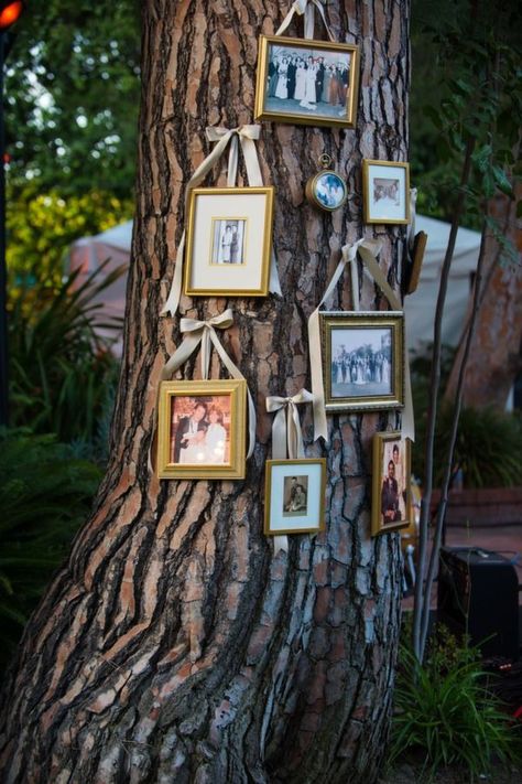 Tree With Pictures, Romantic Backyard, Backyard Wedding Decorations, Rustic Backyard, Yard Wedding, Robert Evans, Backyard Party, Diy Wedding Decorations, Wedding Planners