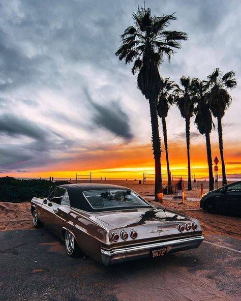 Brown Lowrider, Vw Wagon, Cars Old, Sunset Palm Trees, Night Stalker, Low Riding, New Retro Wave, Lowrider Cars, Old School Cars